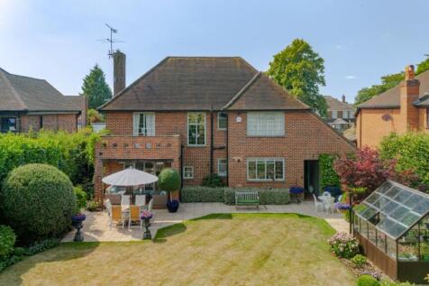 Rear Garden Elevated