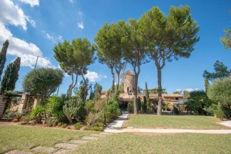 Property Image 39