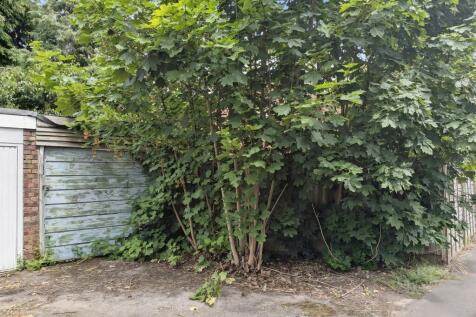 1 T202606151354.jpeg