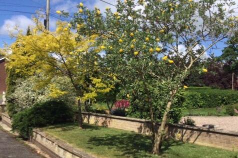 Garden in Springtime - Vendor Supplie...