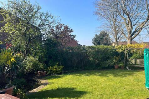 Summer Garden