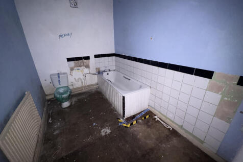 IMG 4091 T202607311553.jpeg