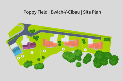 Poppy Field - Bwlch Y Cibau - (1).png