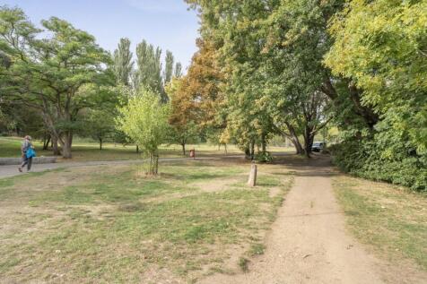 Ladywell Fields.jpg