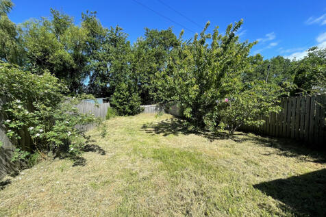Garden.JPG