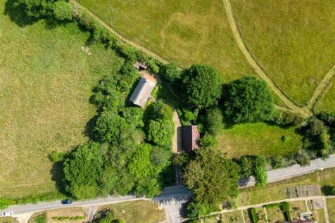 Apple Trees (13).jpg