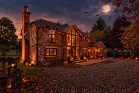Halloween Cgi