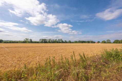 View of Adjoining Field