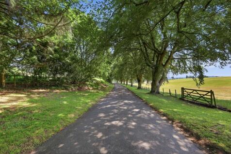 86_img_1708