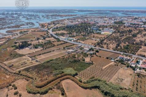 Farm with 3 ha, next to the city of Faro and Ria Formosa