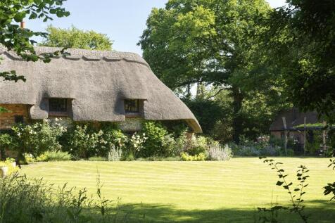 Thatch