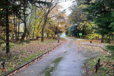 HallFarm_Driveway.jpg