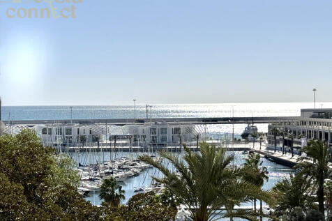 20260212_111431848_iOS