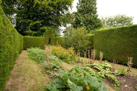 Vegetable Garden