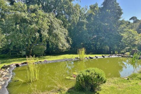 Garden pond