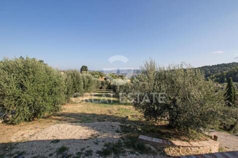 Panorama e Particolari