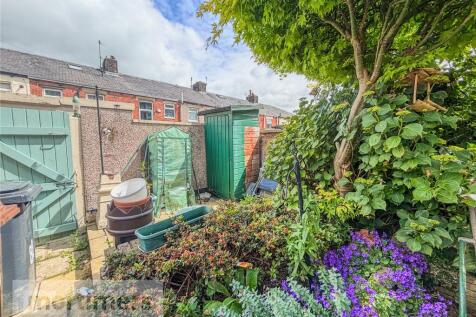 Rear Yard