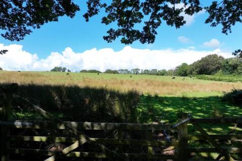 grazing and wooded area.jpg