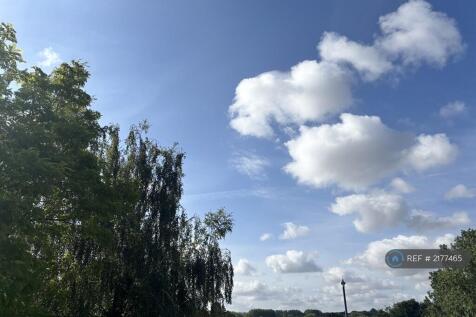 Sorrounded By Green Space