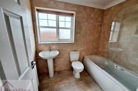 d224e9f9-20251017_141053