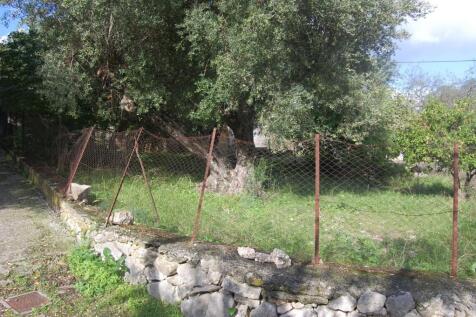 Back garden