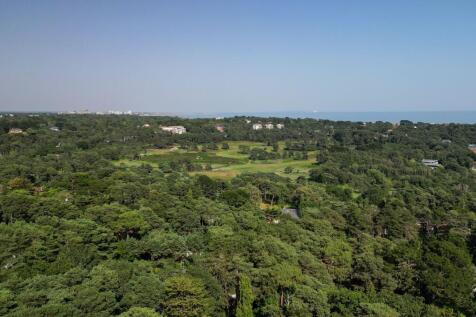 DJI_0579
