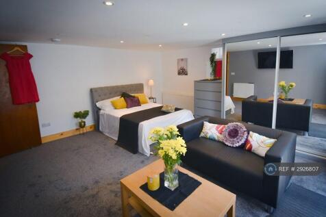 Bedroom/Living Room