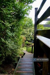Secret Path Down To The Garden