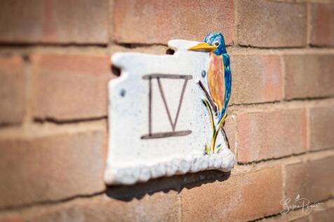 Kingfishers Number