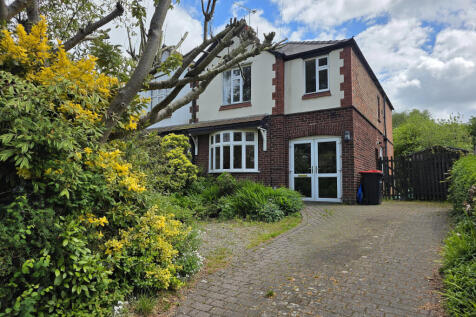 View of Rear Garden