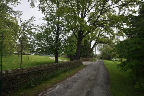 DSC_0008_lge.jpg