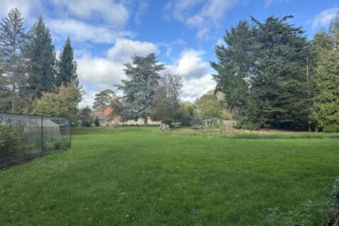 IMG 1746 T202510281537.jpg