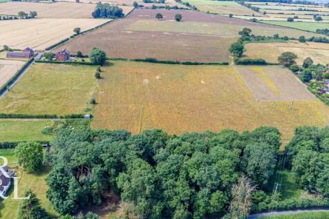 DJI_0507.jpg