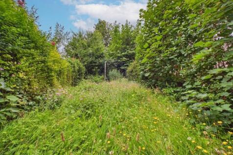 Large South Facing Garden