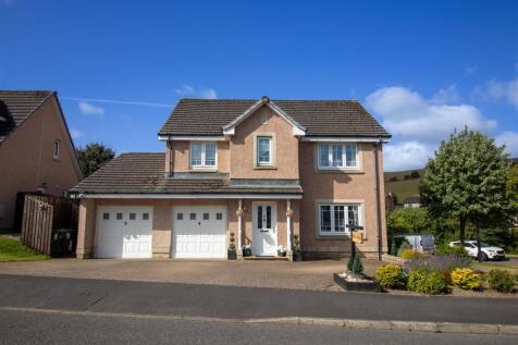 IMG_6118.jpg