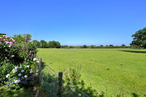 67-the-street-tn2...