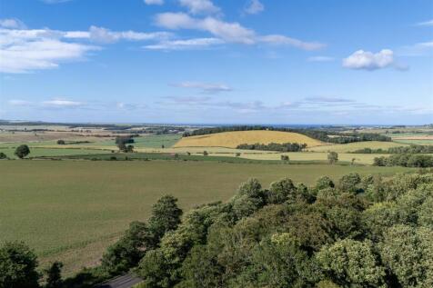 Edington_Fox_Covert-28.jpg