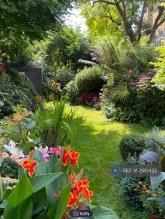 Communal Garden