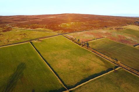 Top Field