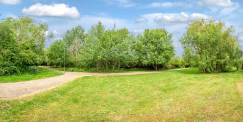 Panoramic View of Park