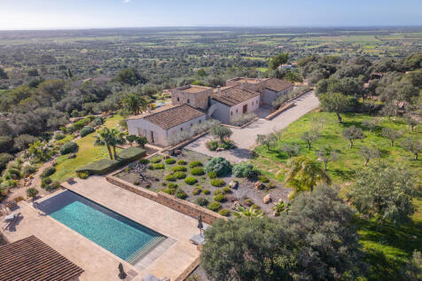 Birdview