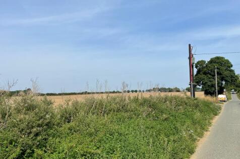 19 T202508151230.jpg