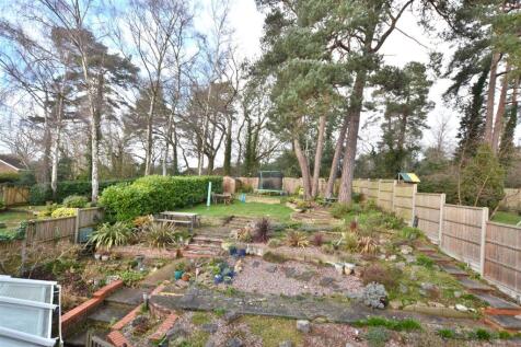 Garden 6.JPG