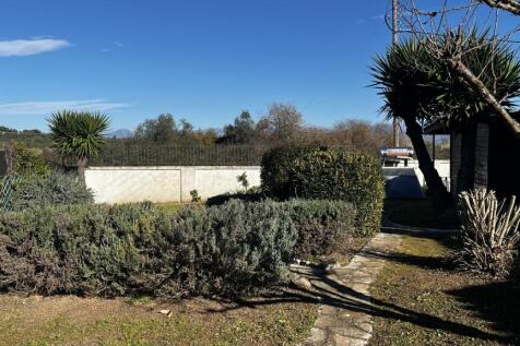 Back garden