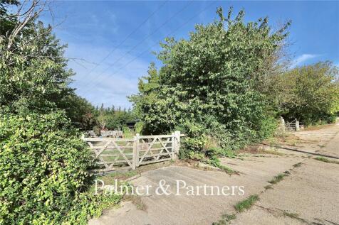Picture No. 16