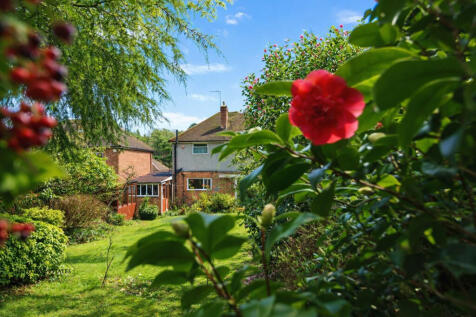 rear garden 1