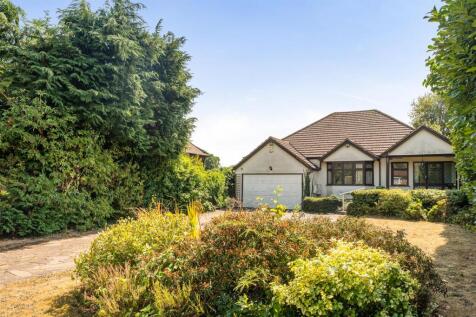 1493643 (1).jpg