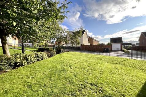 Spacious sunny lawn area with lush greenery...