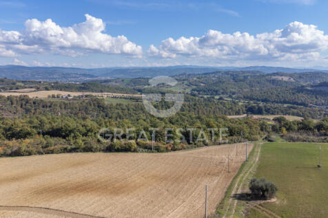 Panorama e Particolari