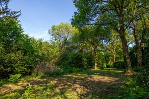 Juniper Stables woodlands-4.jpg